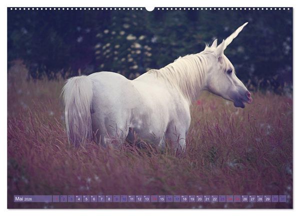 Produktbild: Einhorn Love - Fantasiewelt (hochwertiger Premium Wandkalender 2026 DIN A2 quer), Kunstdruck in Hochglanz
