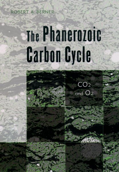 Produktbild: The Phanerozoic Carbon Cycle