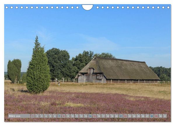Produktbild: L&uuml;neburger Heide - Faszinierend sch&ouml;n (Wandkalender 2026 DIN A4 quer), CALVENDO Monatskalender