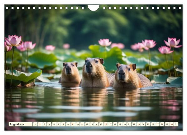 Produktbild: Capybaras - Wasserschweine die Herren der Gr&auml;ser (Wandkalender 2026 DIN A4 quer), CALVENDO Monatskalender