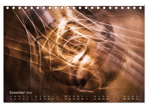 Produktbild: Was die Geige uns erz&auml;hlt (Tischkalender 2026 DIN A5 quer), CALVENDO Monatskalender