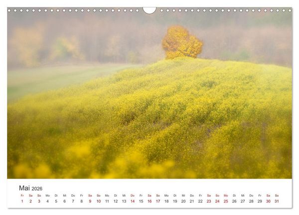 Produktbild: B&auml;ume - Gelebtes Leben (Wandkalender 2026 DIN A3 quer), CALVENDO Monatskalender