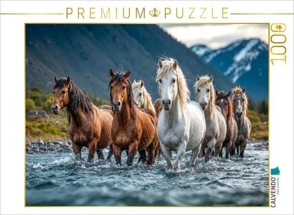 CALVENDO Puzzle Durch den Bach zur nächsten Weide | 1000 Teile Lege-Größe 64x48cm Foto-Puzzle für glückliche Stunden, Sonstige von , Calvendo Puzzle