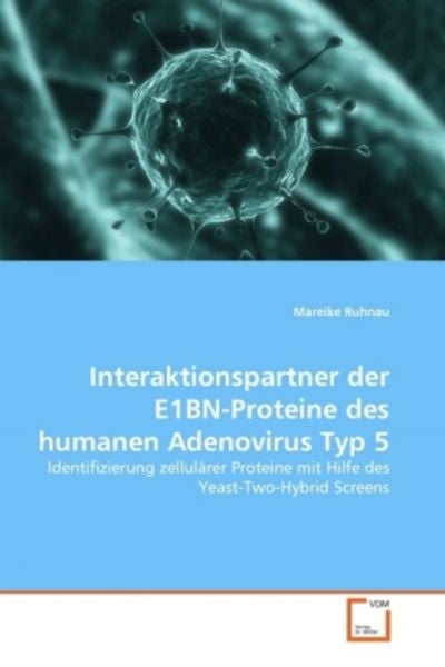 Ruhnau, M: Interaktionspartner der E1BN-Proteine des humanen, Taschenbuch von Mareike Ruhnau, VDM, 9783639323641