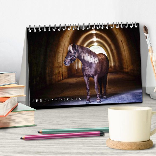 Produktbild: Shetlandpony Kalender (Tischkalender 2026 DIN A5 quer), CALVENDO Monatskalender