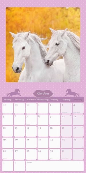 Mein Pferdekalender 2026 - Broschürenkalender 30x30 cm (30x60 geöffnet) - Kalender mit Platz für Notizen - Bildkalender - Wandplaner - Wandkalender