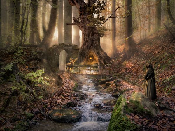 Produktbild: CALVENDO Puzzle W&auml;chter des Waldes | 1000 Teile Lege-Gr&ouml;&szlig;e 64x48cm Foto-Puzzle f&uuml;r gl&uuml;ckliche Stunden