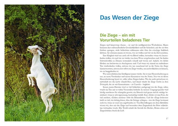 Produktbild: Alles f&uuml;r die Ziege