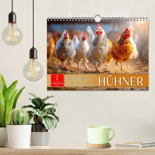 Produktbild: H&uuml;hner - gefiedert durchs Jahr (Wandkalender 2026 DIN A4 quer), CALVENDO Monatskalender