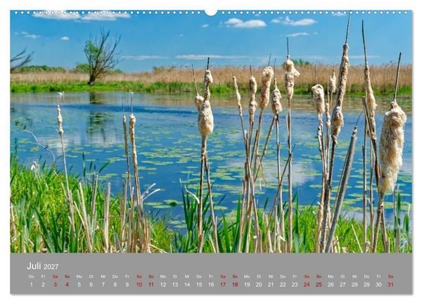 Produktbild: Nationalpark Unteres Odertal (Wandkalender 2027 DIN A2 quer), CALVENDO Monatskalender