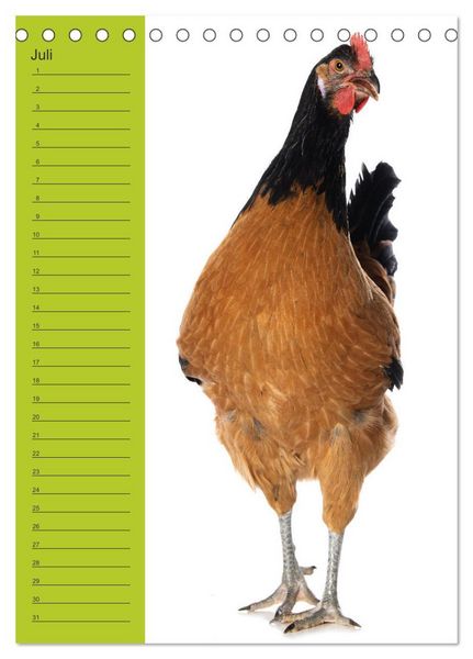Produktbild: Kunterbunte H&uuml;hner Truppe (Tischkalender 2026 DIN A5 hoch), CALVENDO Monatskalender