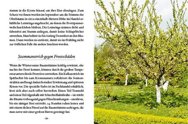 Produktbild: Das gro&szlig;e kleine Buch: Obstb&auml;ume in unserem Garten