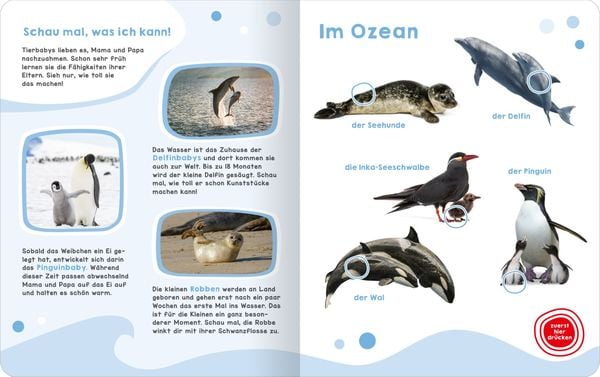 Produktbild: Mein gro&szlig;es Ger&auml;uschebuch &ndash; Tierbabys
