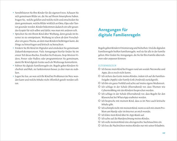 Produktbild: Begleiten statt verbieten