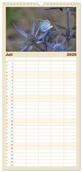 Produktbild: Familienplaner 2026 - Abruzzen - wild und romantisch mit 5 Spalten (Wandkalender, 21 x 45 cm) CALVENDO