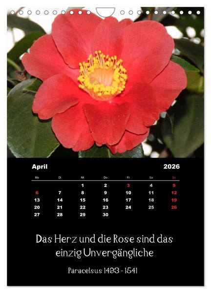 Produktbild: Spr&uuml;che und Zitate ber&uuml;hmter Personen &uuml;ber Blumen und Natur (Wandkalender 2026 DIN A4 hoch), CALVENDO Monatskalender