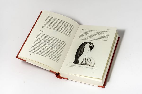 Produktbild: Das kleine Buch der Pinguine