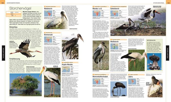 Produktbild: V&ouml;gel