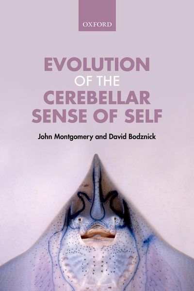 Produktbild: Evolution of the Cerebellar Sense of Self