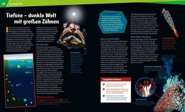 Produktbild: WAS IST WAS Band 143 Ozeane. Die Meere erforschen und sch&uuml;tzen