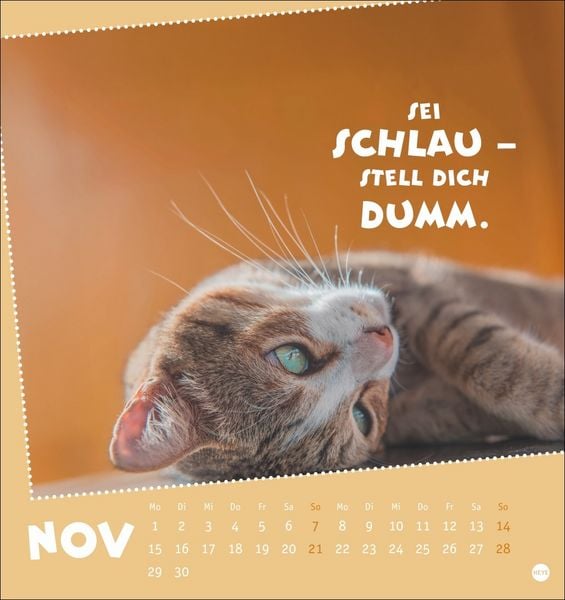 Produktbild: Mach mal Pause Postkartenkalender 2027 - F&uuml;r das Arbeitstier in dir