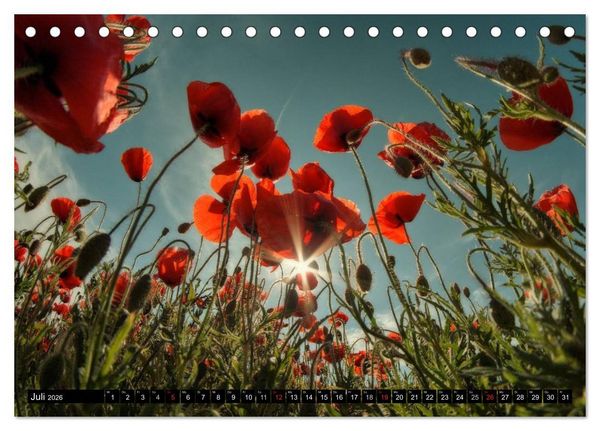 Produktbild: Lichtstimmungen Th&uuml;ringen - Eine Reise von Morgens bis Abends (Tischkalender 2026 DIN A5 quer), CALVENDO Monatskalender