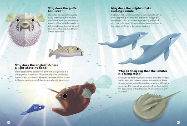 Produktbild: 200 Q&as about Animals