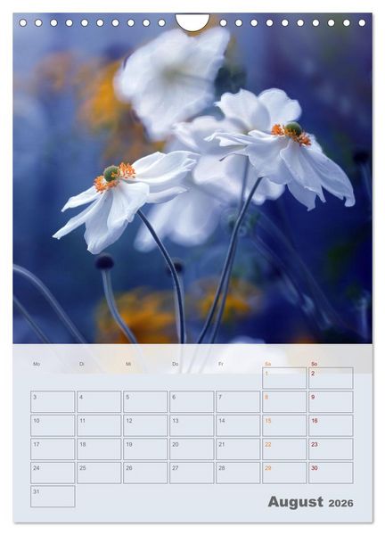 Produktbild: Magie im Garten (Wandkalender 2026 DIN A4 hoch), CALVENDO Monatskalender
