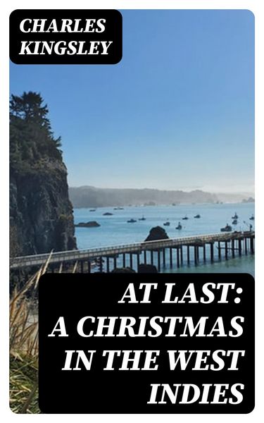 Produktbild: At Last: A Christmas in the West Indies