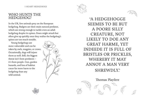 Produktbild: I Heart Hedgehogs
