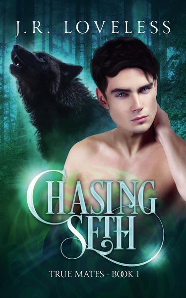 Produktbild: Chasing Seth