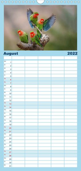 Produktbild: Papageien - Frech, sch&ouml;n und schlau - Familienplaner hoch (Wandkalender 2022 , 21 cm x 45 cm, hoch)