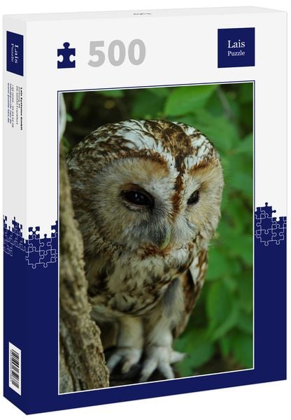 Lais Puzzle Eule 500 Teile