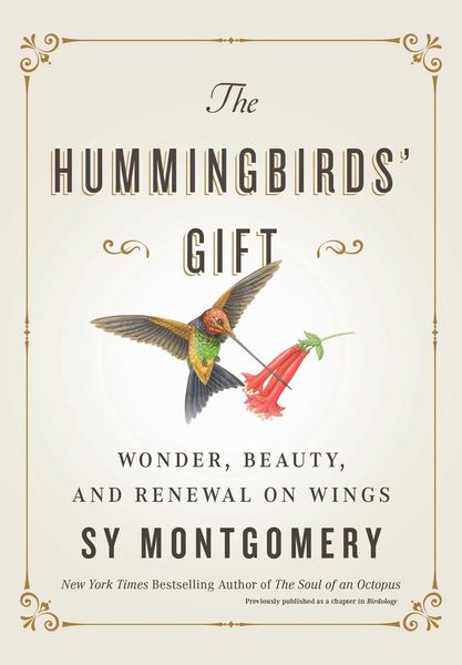 Produktbild: The Hummingbirds' Gift