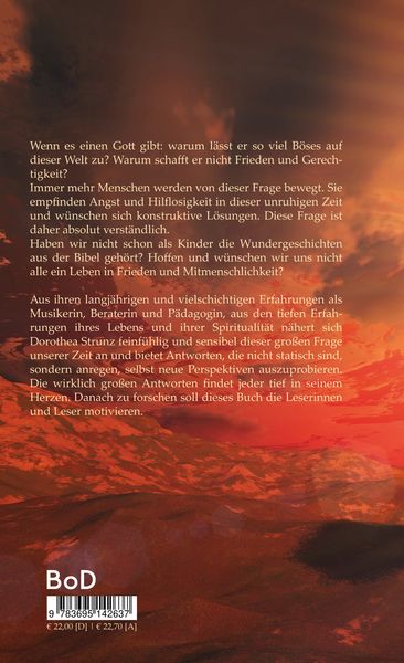 Produktbild: Warum l&auml;sst Gott das "B&ouml;se" zu?