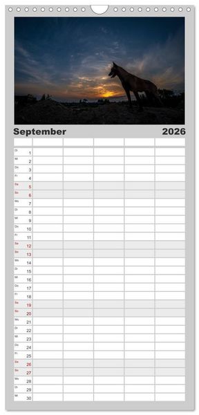 Produktbild: Familienplaner 2026 - Belgische Sch&auml;ferhunde - Der Malinois im Licht mit 5 Spalten (Wandkalender, 21 x 45 cm) CALVENDO
