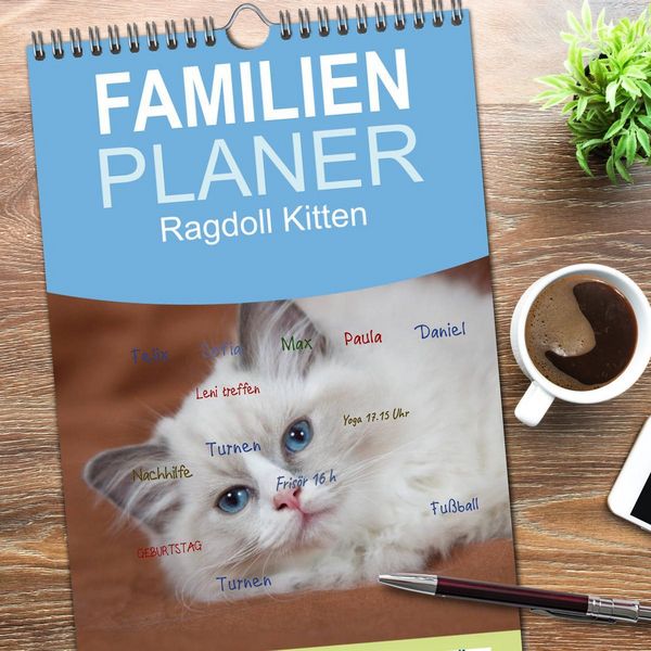 Produktbild: Familienplaner 2026 - Ragdoll Kitten mit 5 Spalten (Wandkalender, 21 x 45 cm) CALVENDO