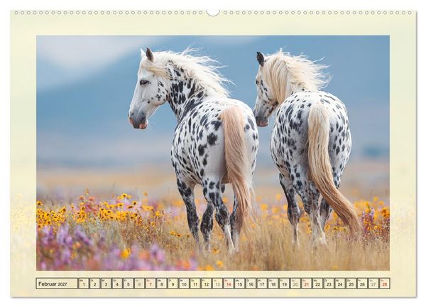 Produktbild: Knabstrupper Poesie. Gescheckte Eleganz im Farmsommer (hochwertiger Premium Wandkalender 2027 DIN A2 quer), Kunstdruck in Hochglanz