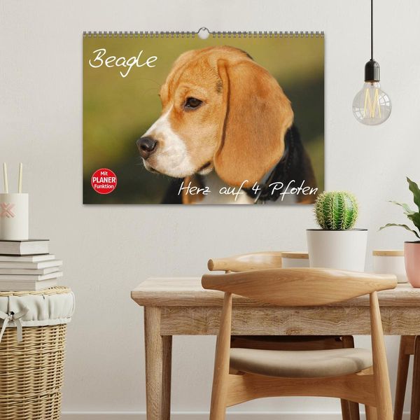 Produktbild: Beagle - Herz auf 4 Pfoten (Wandkalender 2026 DIN A3 quer), CALVENDO Monatskalender