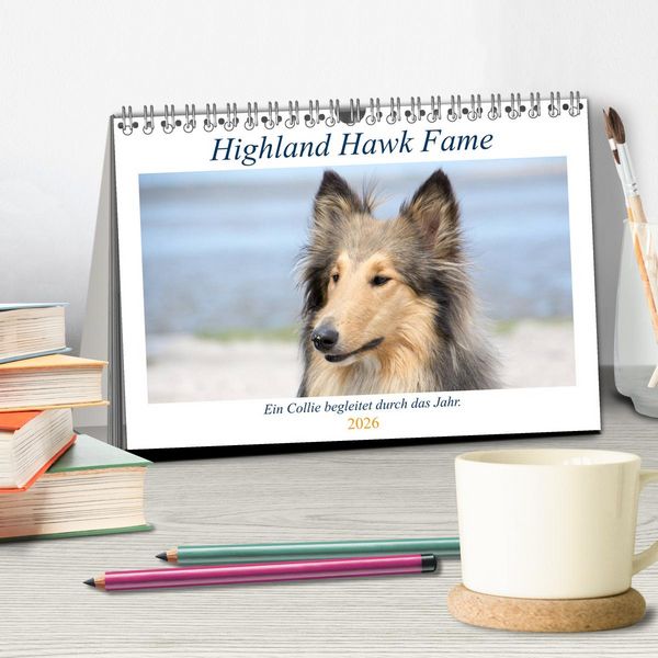 Produktbild: Highland Hawk Fame - Ein Collie begleitet durch das Jahr (Tischkalender 2026 DIN A5 quer), CALVENDO Monatskalender