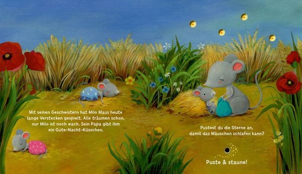 Produktbild: Mein Puste-Licht-Buch: Wenn im Dunkeln Sterne funkeln
