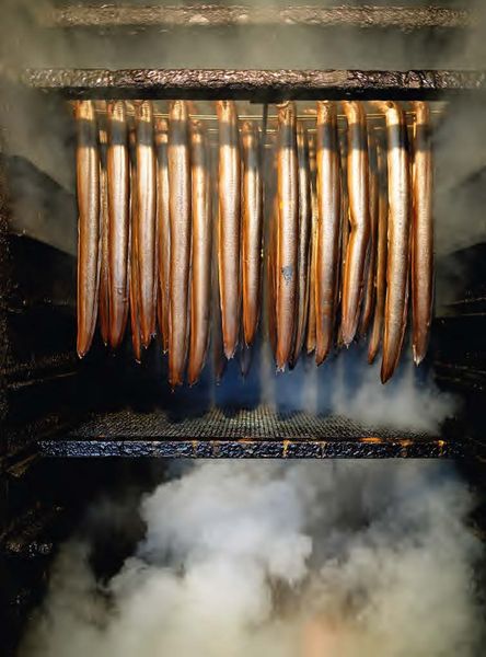 Produktbild: Fisch & Kult