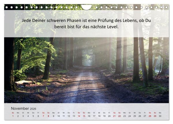 Produktbild: Motivationsspr&uuml;che Erfolgsweg (Wandkalender 2026 DIN A4 quer), CALVENDO Monatskalender