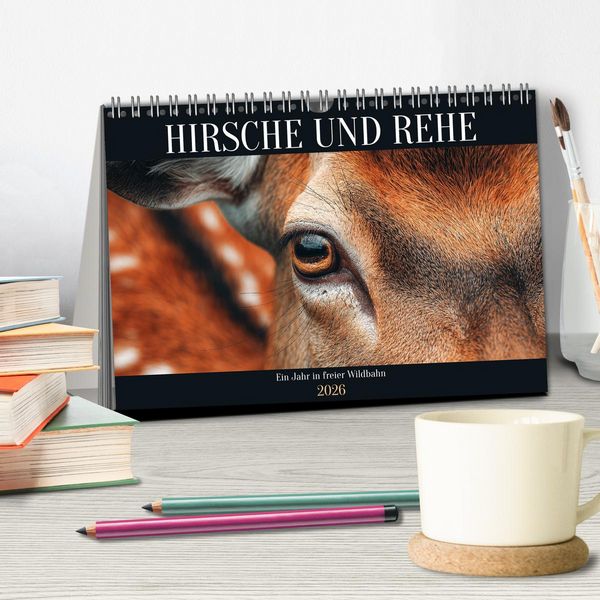 Produktbild: HIRSCHE UND REHE - Ein Jahr in freier Wildbahn (Tischkalender 2026 DIN A5 quer), CALVENDO Monatskalender