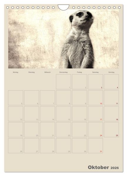 Produktbild: Lustige Erdm&auml;nnchen (Wandkalender 2026 DIN A4 hoch), CALVENDO Monatskalender