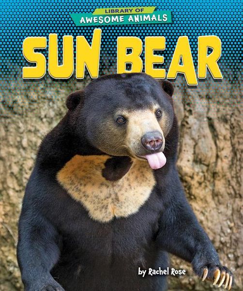 Produktbild: Sun Bear