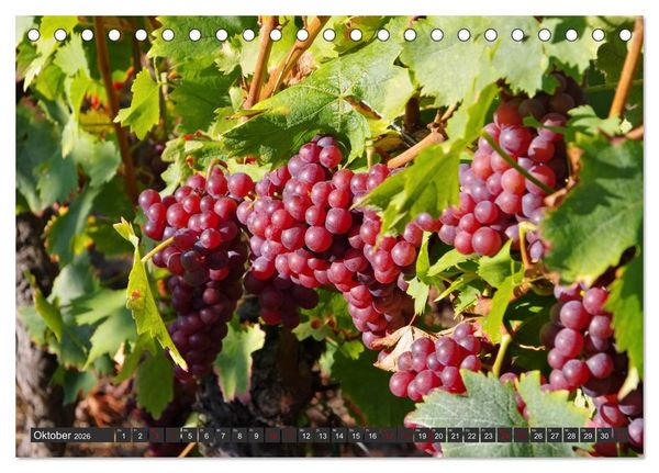 Produktbild: Elsass - Zwischen Rhein und Vogesen (Tischkalender 2026 DIN A5 quer), CALVENDO Monatskalender