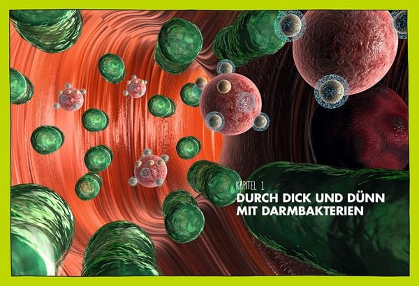Produktbild: Schlank mit Darm
