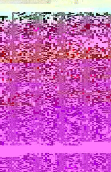 Produktbild: Realist Vision