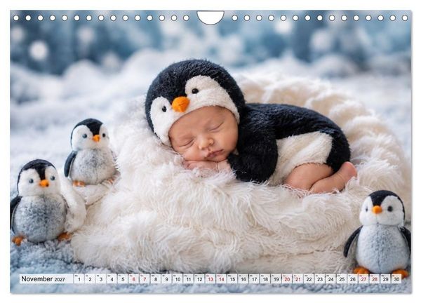 Produktbild: Kleine Wundertr&auml;ume (Wandkalender 2027 DIN A4 quer), CALVENDO Monatskalender